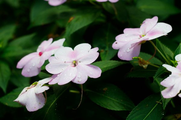 Quels sont les meilleurs dispositifs anti-inondation pour une résidence située en zone inondable?